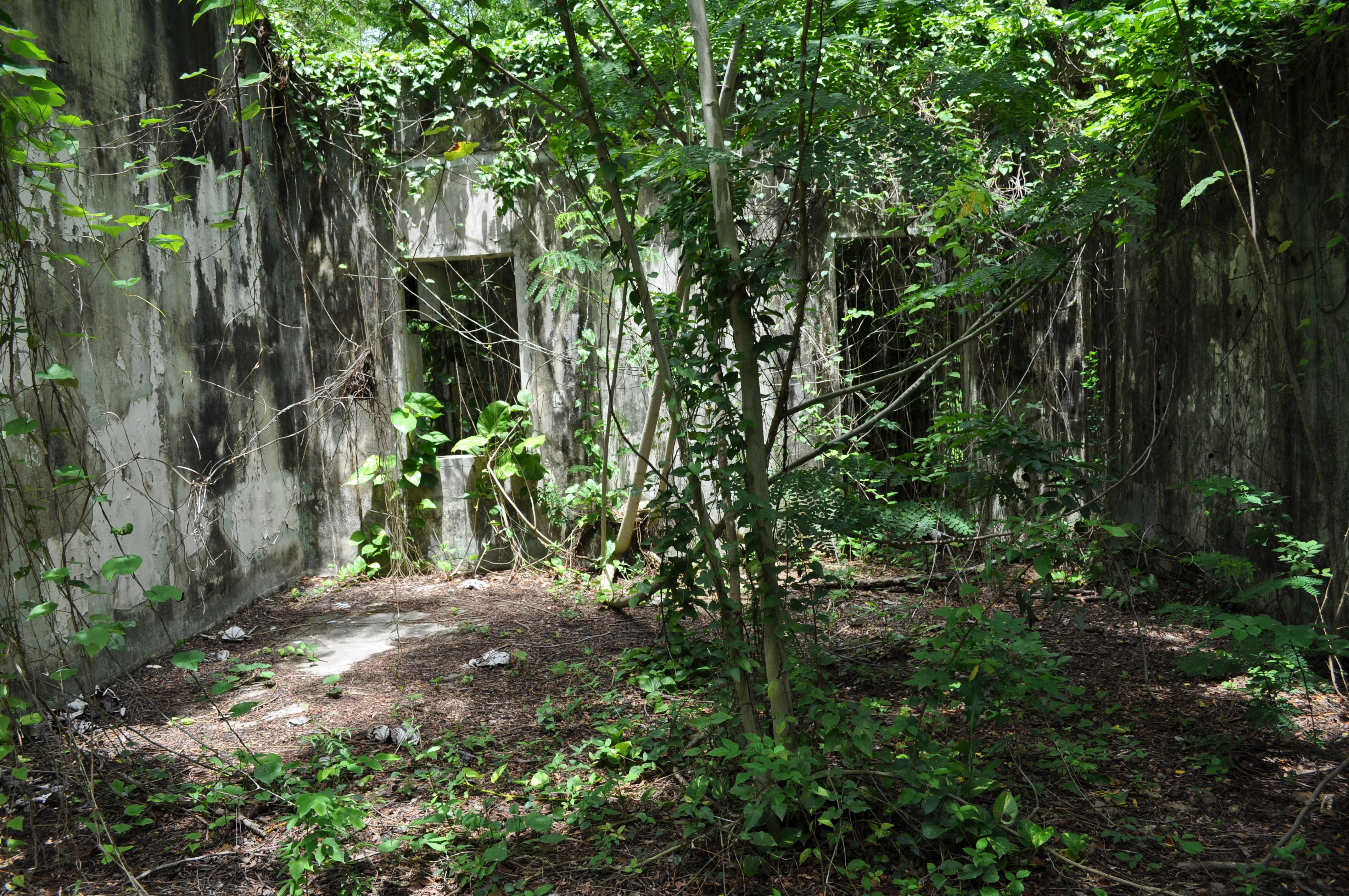Antigua Lechería y Residencia de la Facultad de la Universidad de Puerto Rico - San Juan (Río Piedras) - 2014 00016
